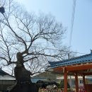 호령마을회관 이미지