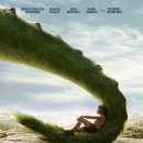 URBAN TREE 39 이미지