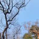 영신당약국 이미지