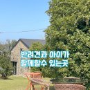 푸르곤 제주 애월 아기와 애견동반 가능한 카페 <b>푸르곤</b>