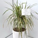 고희연농장 이미지