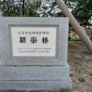 조종교