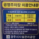 P-6919 | [경주맛집] 심여사 천북양념통닭 총가네활어회 포장맛집 추천