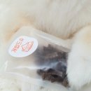 개밥드슈 이미지