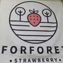 모두농장 | 내돈내산 <포포렛 딸기농장> 아이랑 딸기 체험 자세한 후기/ 춘천 실내 아이랑 가볼만한 곳/ 실내...