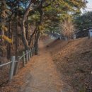 수원팔색길 화성성곽길 이미지