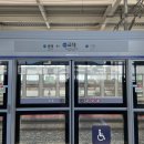 캐칭덕부산송정비치점 | 부산 (25.08.30~31)