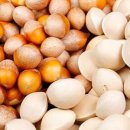 송신로-1 이미지