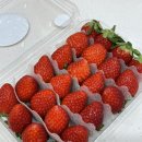 상하 인하우스 이미지