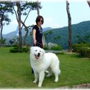 호프나라 이미지