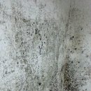 단대로16번길 이미지