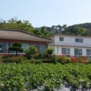 정다운집 이미지