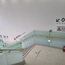 다이소 신곡시장점 앞 | 은평구 3층 대형 다이소 오픈런 다이소 구산역점 내돈내산 방문후기