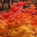 월아산 체육장 1(중간)
