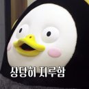 신상농장 이미지