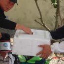 월내초등학교 이미지