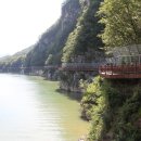 단양마중 이미지