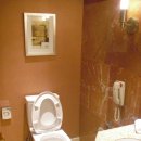 성진컴퓨터세탁 | Sheshan Le Meridien Hotel - Executive Suite Room 2011 Aug 10 ~ 14 (상해 서산 르메르디앙 호텔)