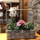 화신세차장 이미지