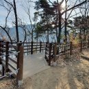 나무테크 이미지