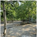 해담마을 | 양양방갈로 해담마을구룡령야영장에서의 힐링 캠핑 후기