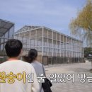 죽변슈퍼 이미지