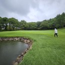 센츄리(아) 이미지