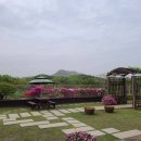 행복을 그리는 화가 르누아르 레플리카전 이미지