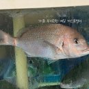 현내시장 화장실 | 삼척 바다횟집_강릉 옥계 진가락_맛집 추천