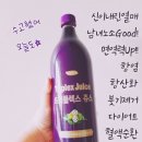 노니사랑