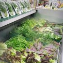 용현할인 마트 이미지