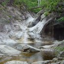 금록식육식당 이미지