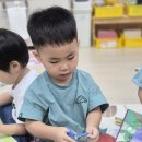 영차영차 Daum카페