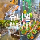 쥬니멀 | [청주가볼만한곳] 청주 아이와 연인과 데이트코스로 딱! 실내동물원 쥬니멀 동물원 방문 후기