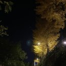 Nov (19) : 일상 / 빼빼로데이 / 영화 히든페이스 / 삼각지 신림 순대볶음 / 크놀라 그래놀라 / 소소한...