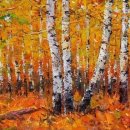 자작나무 이미지