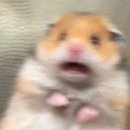 화곡로 65길 이미지