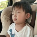 메트로폴관광호텔 이미지