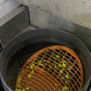 워시가이 | [내돈내산] 케미컬가이 시트러스 워시&amp;글로스 CWG 카 샴푸 후기