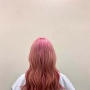 지선헤어 이미지