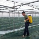 회포농장 이미지