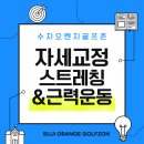 신봉골프레슨 전문 오렌지골프존이 알려주는 자세 교정 TIP