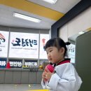 리더태권도장 이미지