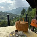 도심다원 | 하동 여행 가볼만한 곳 '도심다원' 녹차밭 카페 정자 주말 예약 후기