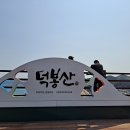 해파랑길 31코스 일부(덕산해변~상맹방해수욕장) 트레킹 – 강원 삼척 이미지