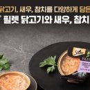 야옹아멍멍해봐단관점