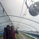 청남농원 이미지