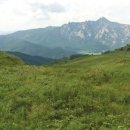 영암공설운동장 이미지