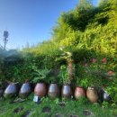 달백스테이 이미지