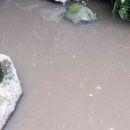 여지축산 이미지